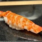 鮨と天草大王 天音 - 車海老