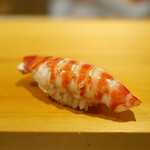 鮨 あらい - 「車海老」「車海老」