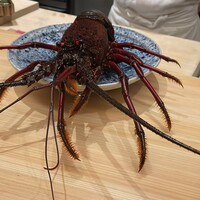 中洲 松 - 