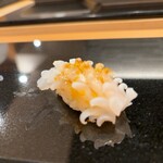 鮨と天草大王 天音 - ヤリイカ