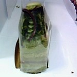 ラ・ヴィエイユ - 抹茶