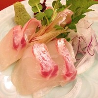 八坂通り 燕楽 - 活鯛