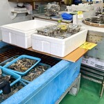 海晴丸 池田 - 料理写真: