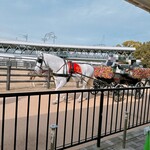 ミンミン - 乗りました〜