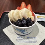 ANA SUITE LOUNGE、ANA LOUNGE - 