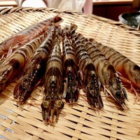 鮨 りかく - 大きい車海老