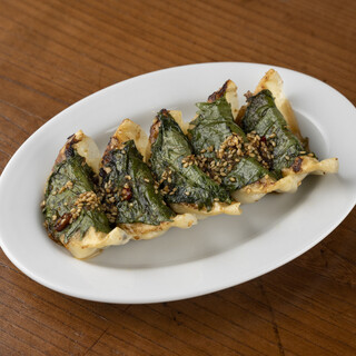 A wide variety of lineup including legal herb Gyoza / Dumpling