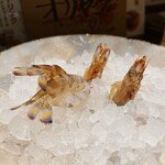 魚屋 うきうきらんらん 三鷹 - 