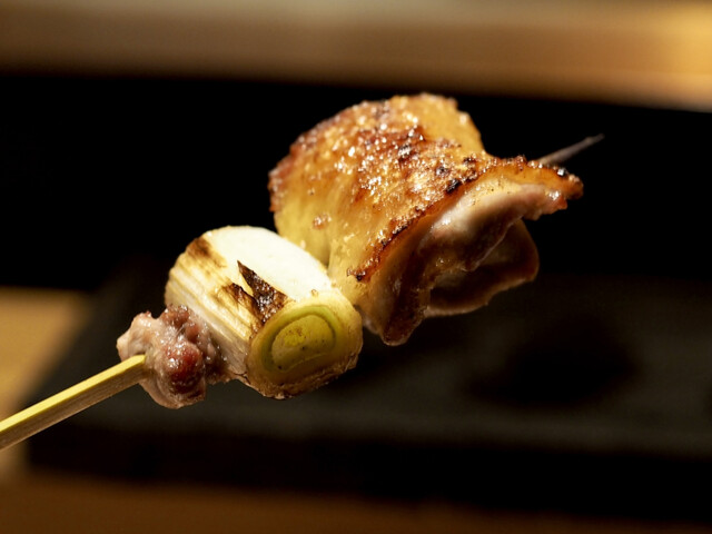Sumibi Yakitori Morita, Osaka, Japan