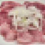 やきとん ますだ - 