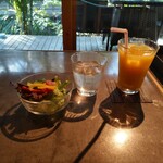 Gaden Kafe Ripuru - サラダ、オレンジジュース
