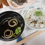 藤政 - 