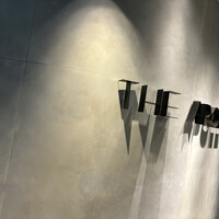 THE APOLLO - 