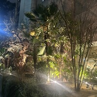 熱香森 - 