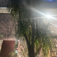 熱香森 - 