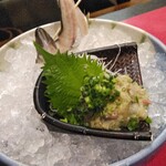 活魚料理 魚とや - 