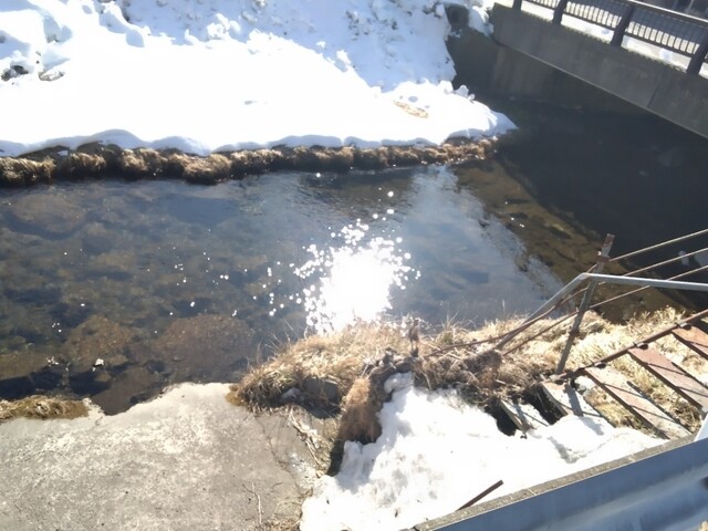 cafe soramame（カフェ ソラマメ） - 久慈（カフェ）の写真