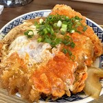 多の津うどん - かつ丼！