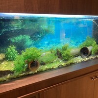 炭焼うな富士 大丸京都別邸 - 