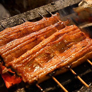 天然鰻や有名なブランド鰻を伝統的な手法で焼き上げご提供