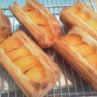 コーデュロイ_1