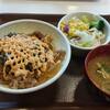 Sukiya - 高菜明太マヨ牛丼中盛り+サラダセット960円