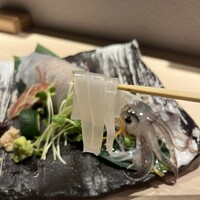 鮨 からす 十三店 - 泳ぎイカ姿造り