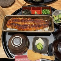 うなぎ四代目菊川 ミッドランドスクエア 名古屋本店 - 