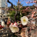 湯島 天神下 炭屋 - 