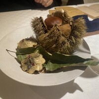 デルフィーナ - 