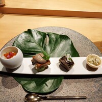 シブ ニシナカス - 