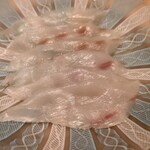 伯雲 - 下関の天然の虎河豚の厚引きのてっさ