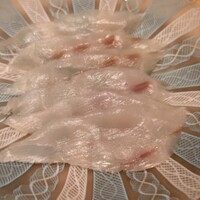 伯雲 - 下関の天然の虎河豚の厚引きのてっさ