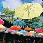 ハーベスト ナガイファーム 軽井沢店 - 