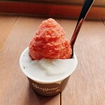 Arima gelateria Stagione - 