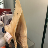 赤坂璃宮 銀座店 - 
