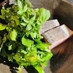 石葉 - 御鍋食材（さわら・クレソン）