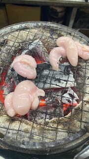 元祖　京城屋 - コブクロ(豚)