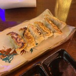 ぱいかじ - アグー餃子