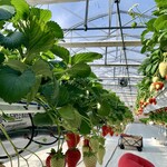 グリナリウム淡路島 - 