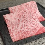 完全個室焼肉 GYU - 