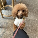 BLUE SIX COFFEE - シェリ②