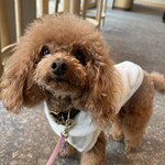 BLUE SIX COFFEE - シェリ①