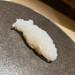 くるますし - あおりいか。とろっとろの食感でものすごく甘い。くつろがせたイカをパッと〆るとのこと。