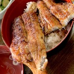 きみのやうなぎ店 - 