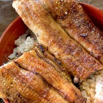 きみのやうなぎ店 - 