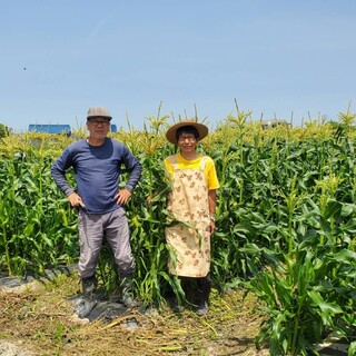 Senga Farm in Tokoname has been helping us since we first opened.