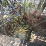 italian bar TAKA’s KITCHEN - 眼下の中庭