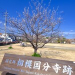 Kokubunji Soba - 