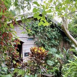 山の茶屋 楽水 - 外観